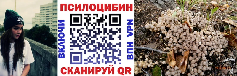 ссылка на мегу ТОР  Шагонар  Галлюциногенные грибы Magic Shrooms 