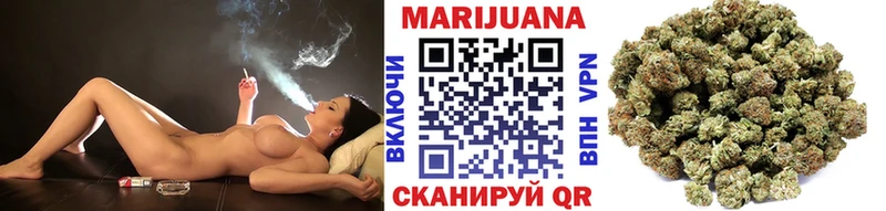 хочу наркоту  Шагонар  Бошки марихуана Amnesia 